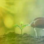 Supervizijski maraton