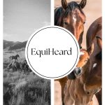 VABILO NA PSIHOTERAPEVTSKO SKUPINO: EQUIHEARD - biti slišan v ČREDI