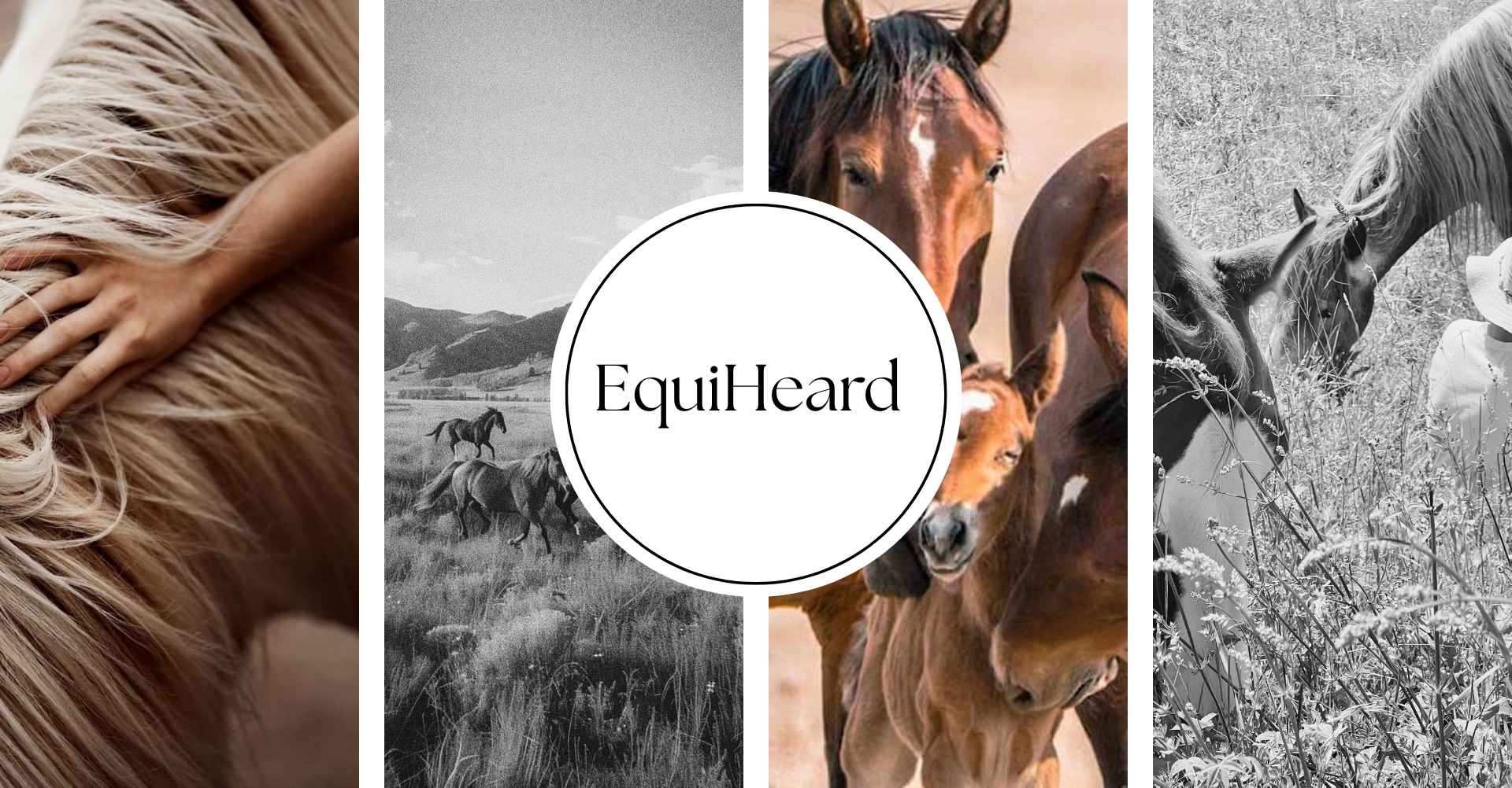 VABILO NA PSIHOTERAPEVTSKO SKUPINO: EQUIHEARD - biti slišan v ČREDI